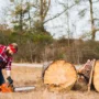 Featured image - Tips for Buying Your First Chainsaw