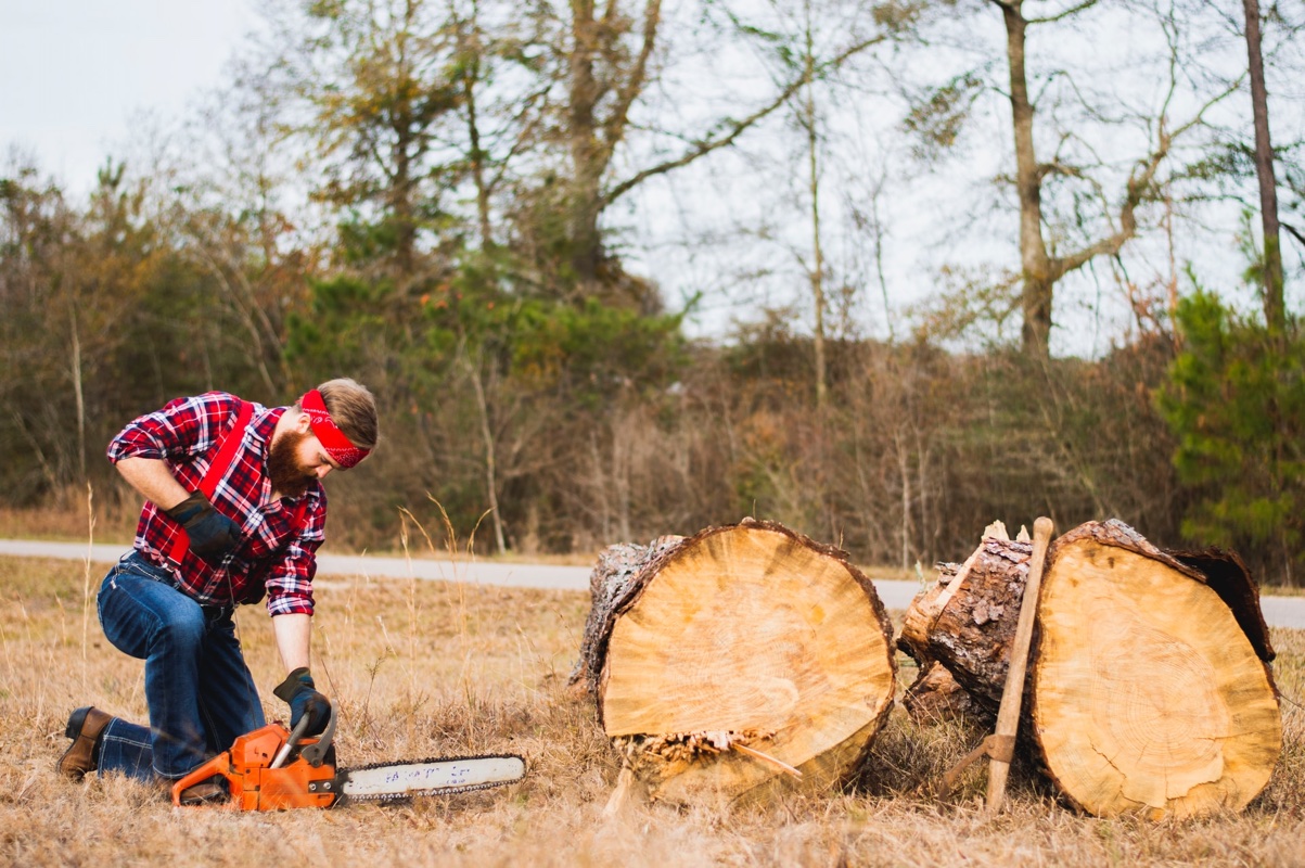 Tips for Buying Your First Chainsaw image - Tips for Buying Your First Chainsaw