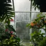 featured image - What You Should Know Before Setting Up A Greenhouse At Home