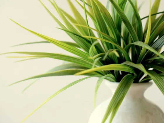 Featured image - The Importance of Having Good Air Quality at Home and How to Make That Happen