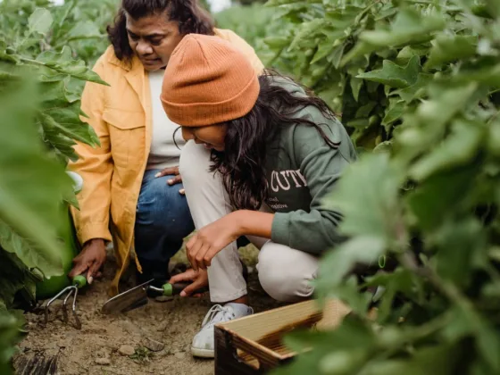 Featured image - A Seasonal To-Do for Your Garden