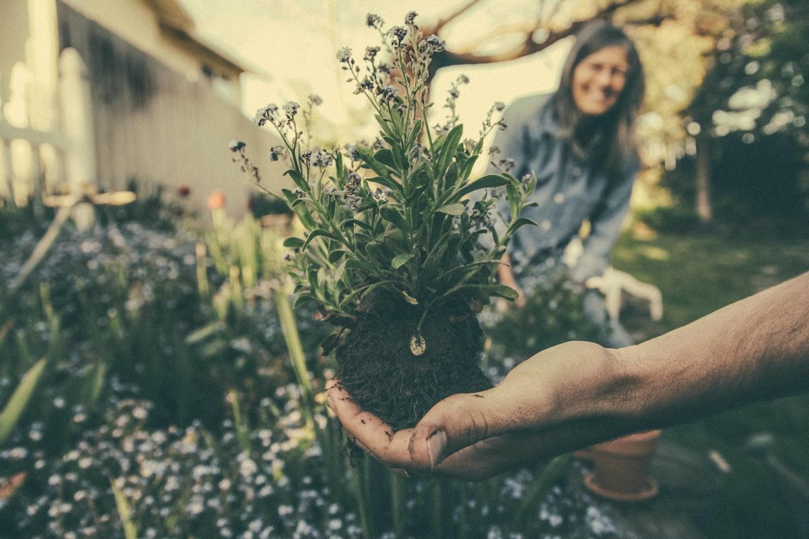 How Safe Is It to Use Weed Killers for Your Garden image - How Safe Is It to Use Weed Killers for Your Garden