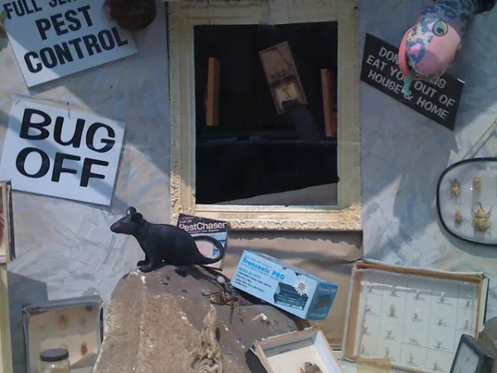 featured image - Pest Control Service