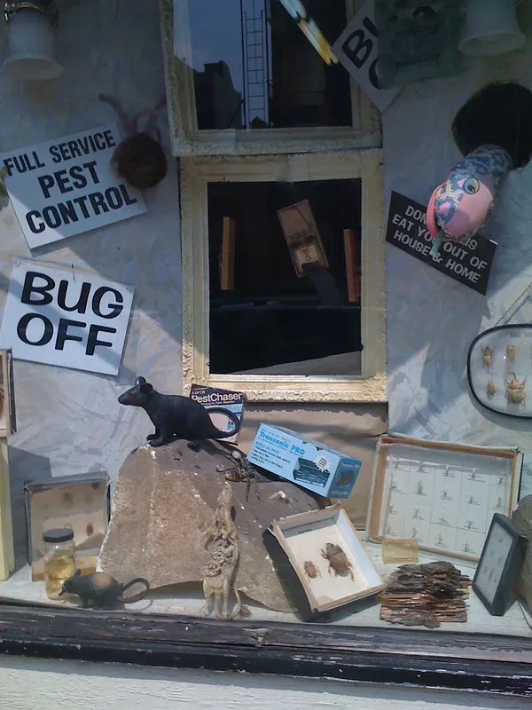 featured image - Pest Control Service