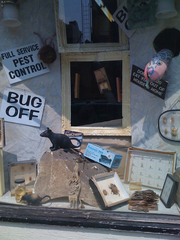 Pest Control Service image - Pest Control Service