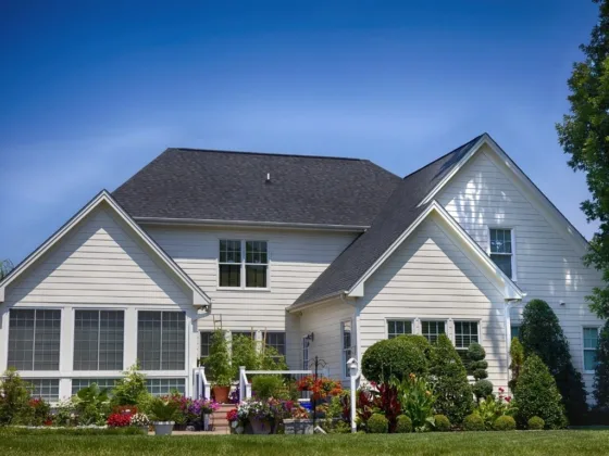 featured image - Top Reasons Why You Should Only Hire Professional Landscape Contractors