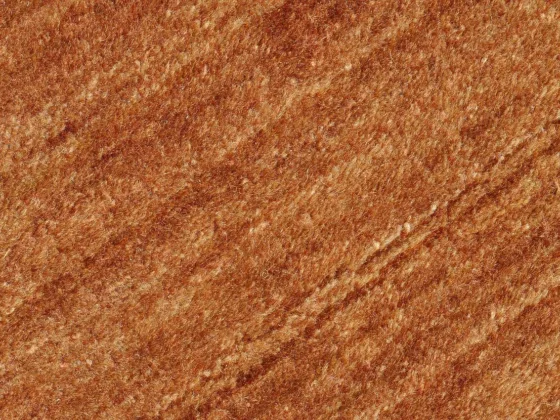 featured image - When to Repair a Carpet