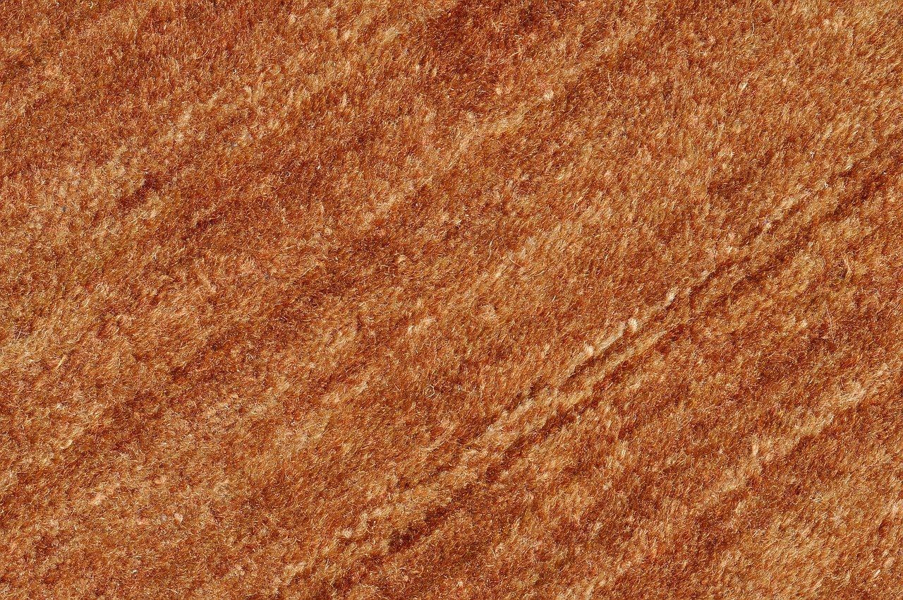 When to Repair a Carpet image - When to Repair a Carpet