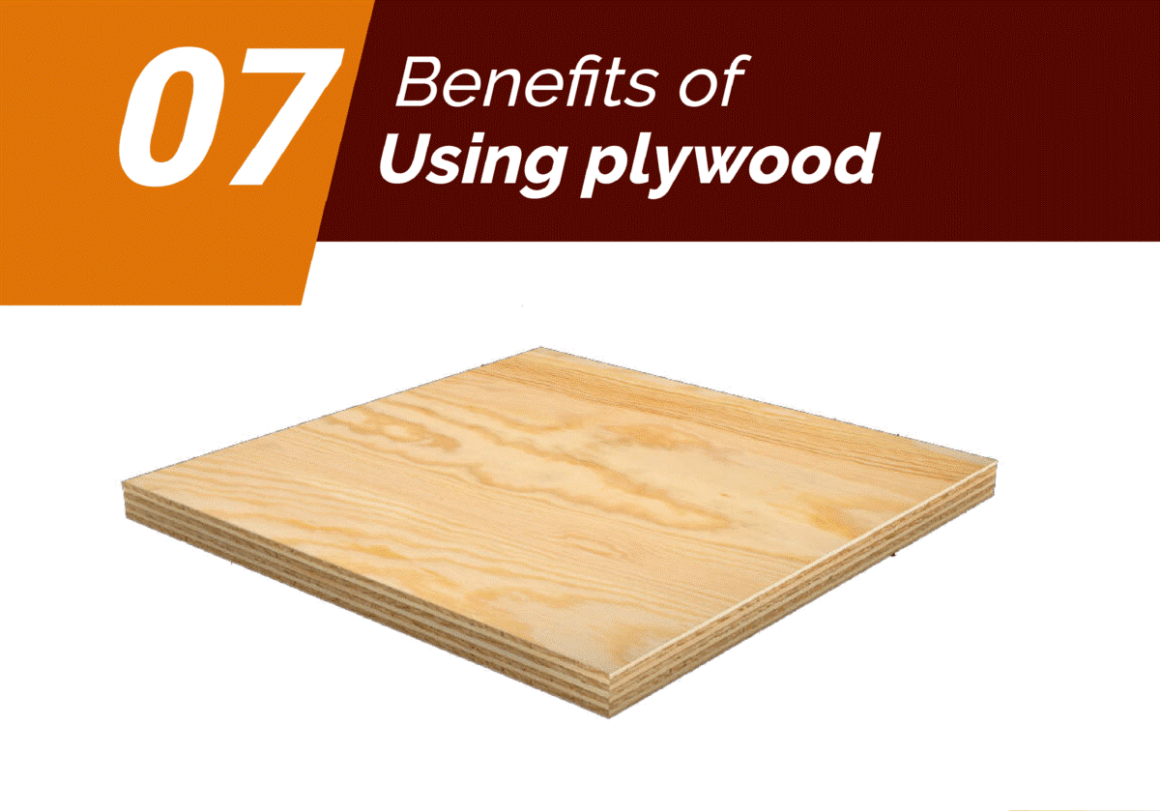 featured image - Choosing Top Plywood Brands in India