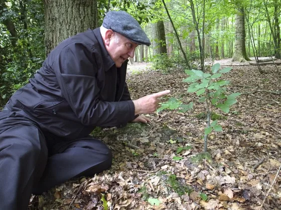 featured image - Home Improvement Tips to Help Keep You Safe as You Grow Older