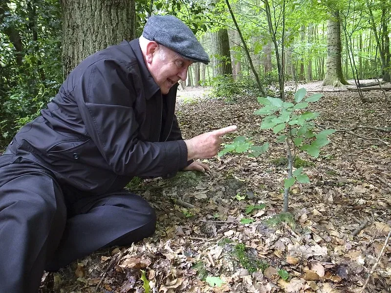 featured image - Home Improvement Tips to Help Keep You Safe as You Grow Older