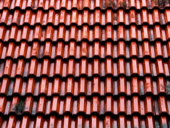 Featured image - Roof Storm Damage: What You Should Do If It Happens to You