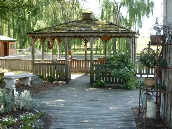 featured image - Things to Keep in Mind Before Installing A Pergola