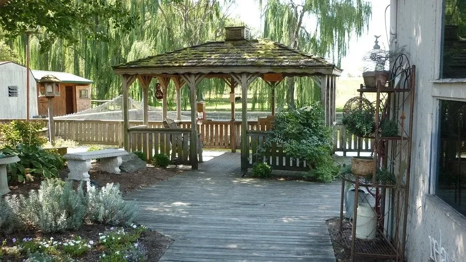 featured image - Things to Keep in Mind Before Installing A Pergola
