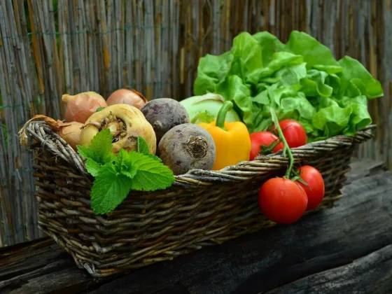 featured image - How to Start Your Own Vegetable Garden In 7 Easy Steps?