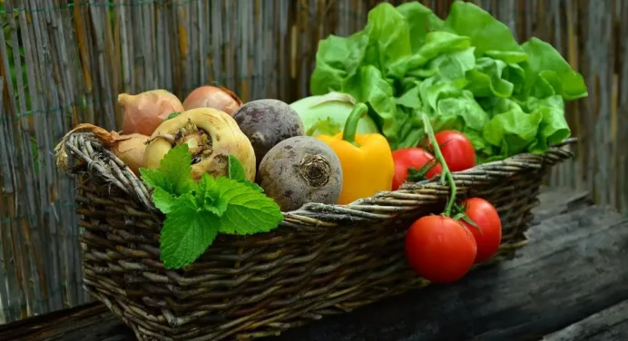 How to Start Your Own Vegetable Garden In 7 Easy Steps?