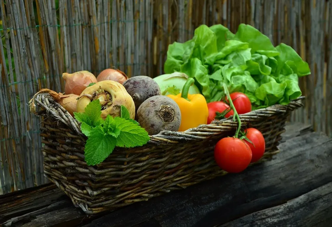 featured image - How to Start Your Own Vegetable Garden In 7 Easy Steps?