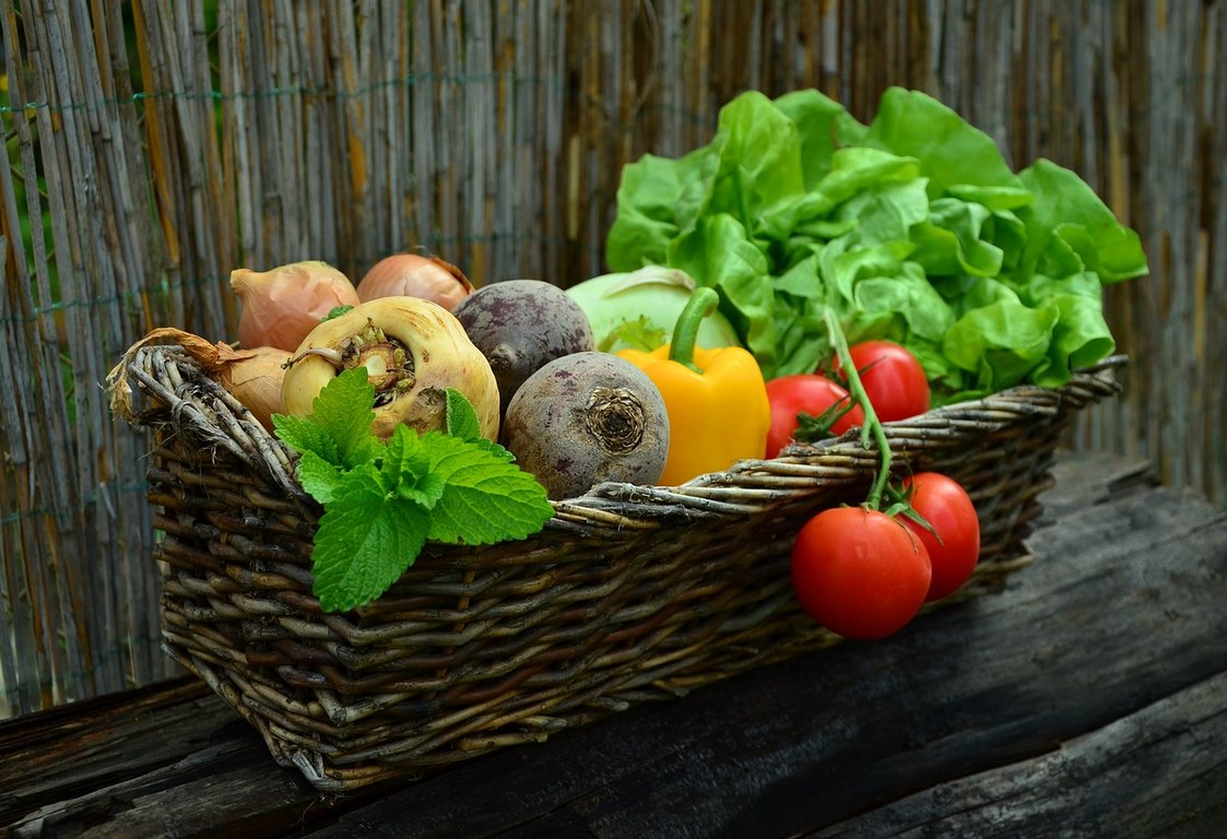 How to Start Your Own Vegetable Garden In 7 Easy Steps? image - How to Start Your Own Vegetable Garden In 7 Easy Steps?
