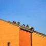 featured image - 10 Best Roofing Contractors Near Me