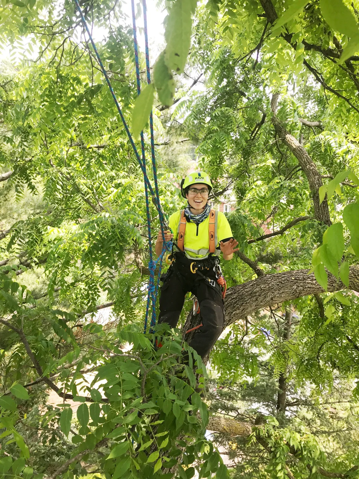 Featured image - 6 Benefits of Professional Tree Care Services