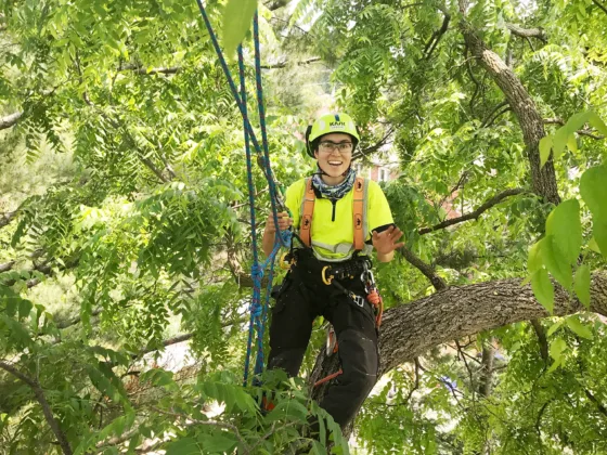Featured image - 6 Benefits of Professional Tree Care Services