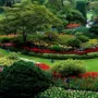 featured image - 6 Reasons to Collaborate with Landscape Companies in Sacramento