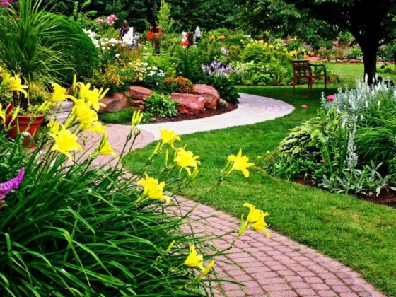 featured image - Choosing A Professional Landscape Company: Things to Know