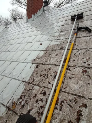 featured image - How to Clean A Metal Roof in Nine Steps