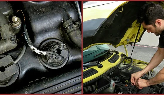 featured image - How to Keep Rodents Out of Your Car