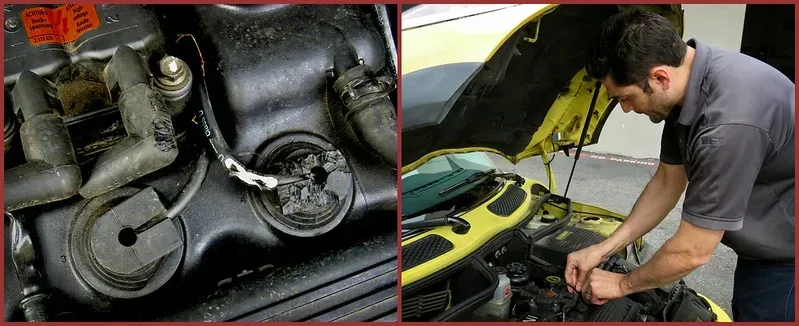 featured image - How to Keep Rodents Out of Your Car