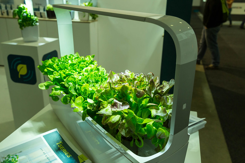 How to start Your Own Indoor Garden image - How to start Your Own Indoor Garden