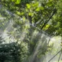 featured image - Maintaining a Lawn and Garden in AU with Online Irrigation Supplies