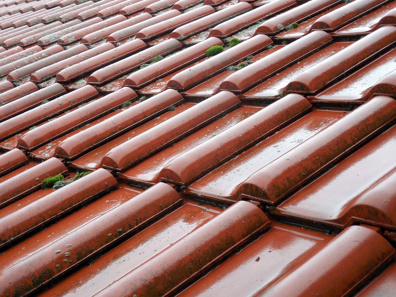 The Importance of Professional Roofing Maintenance image - The Importance of Professional Roofing Maintenance