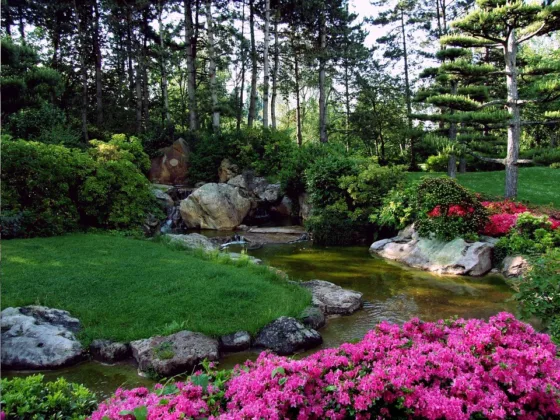 featured image - Top Ways That Will Help You Have the Ideal Landscape in Your House