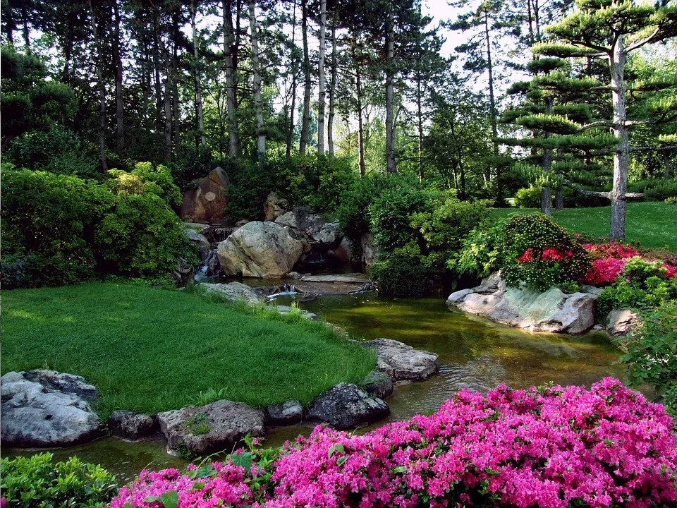 featured image - Top Ways That Will Help You Have the Ideal Landscape in Your House