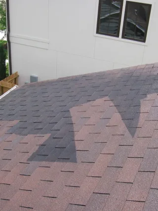 featured image - Warning Signs Your Home Needs Roof Tile Replacement