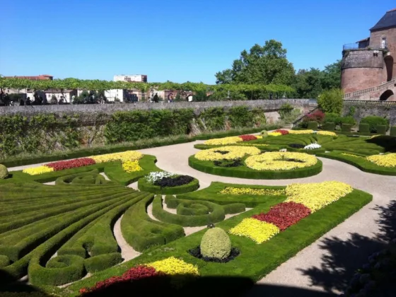 Featured image - What Is the Cheapest Way to Landscape