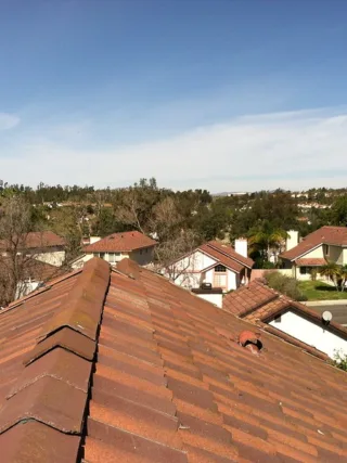 featured image - Why You Should Hire Professional Roofing Companies