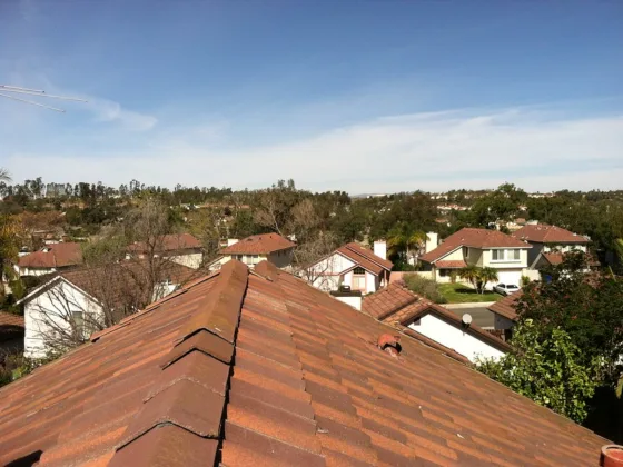 featured image - Why You Should Hire Professional Roofing Companies