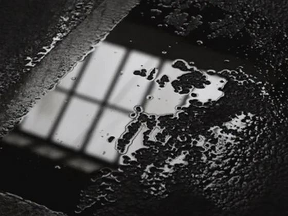 featured image - Signs That Your House Foundation Needs to Be Repaired