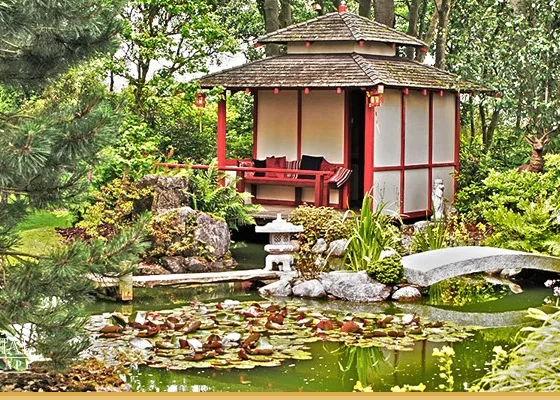 featured image - Choosing a Professional Landscape Contractor Company