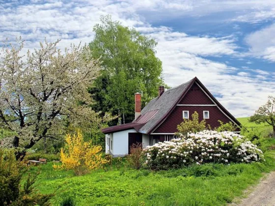 featured image - DIY Project Ideas to Make Your Garden More Beautiful and Unique