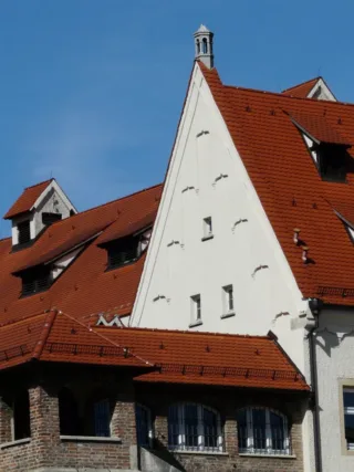 featured image - Roofing Issues to Look Out for When Buying a New Home