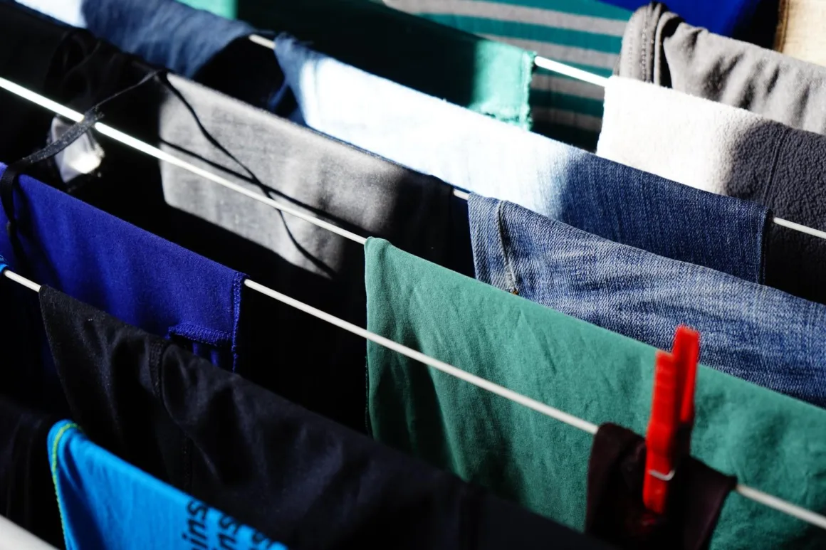 featured image - Stay Fresh The Best Types of Clotheslines