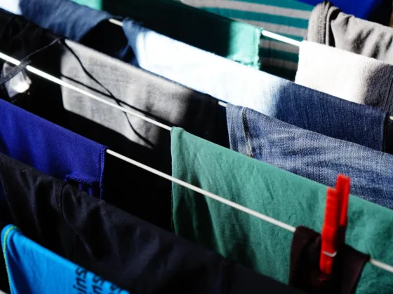 featured image - Stay Fresh The Best Types of Clotheslines