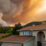 featured image - Tips to Protecting Your Home Against Wild Animals