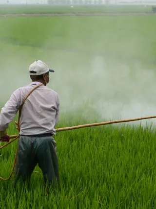 featured image - What are the Benefits of Pest Control?