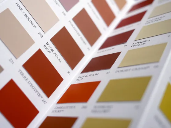 featured image - Which Is the Best Paint Brand In 2021