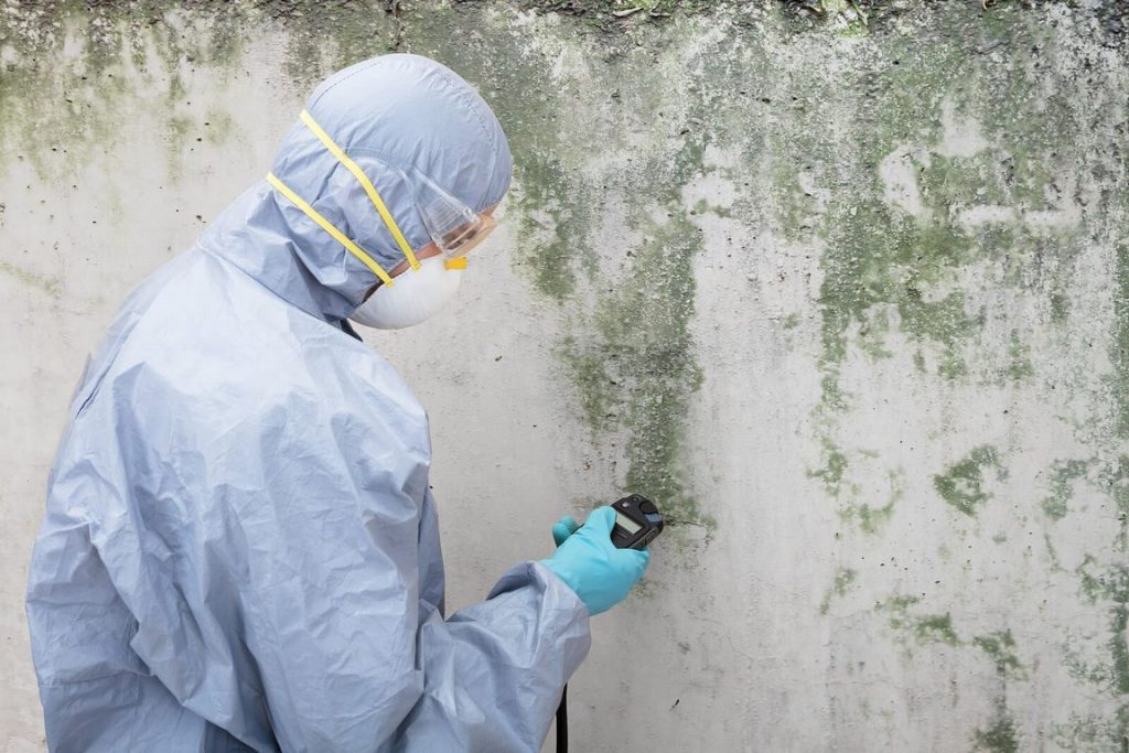 4 Tips for Finding Pros to Deal with Your Mold Problems in Los Angeles