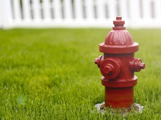 featured image - 6 Ways to Protect Your Lawn This Summer